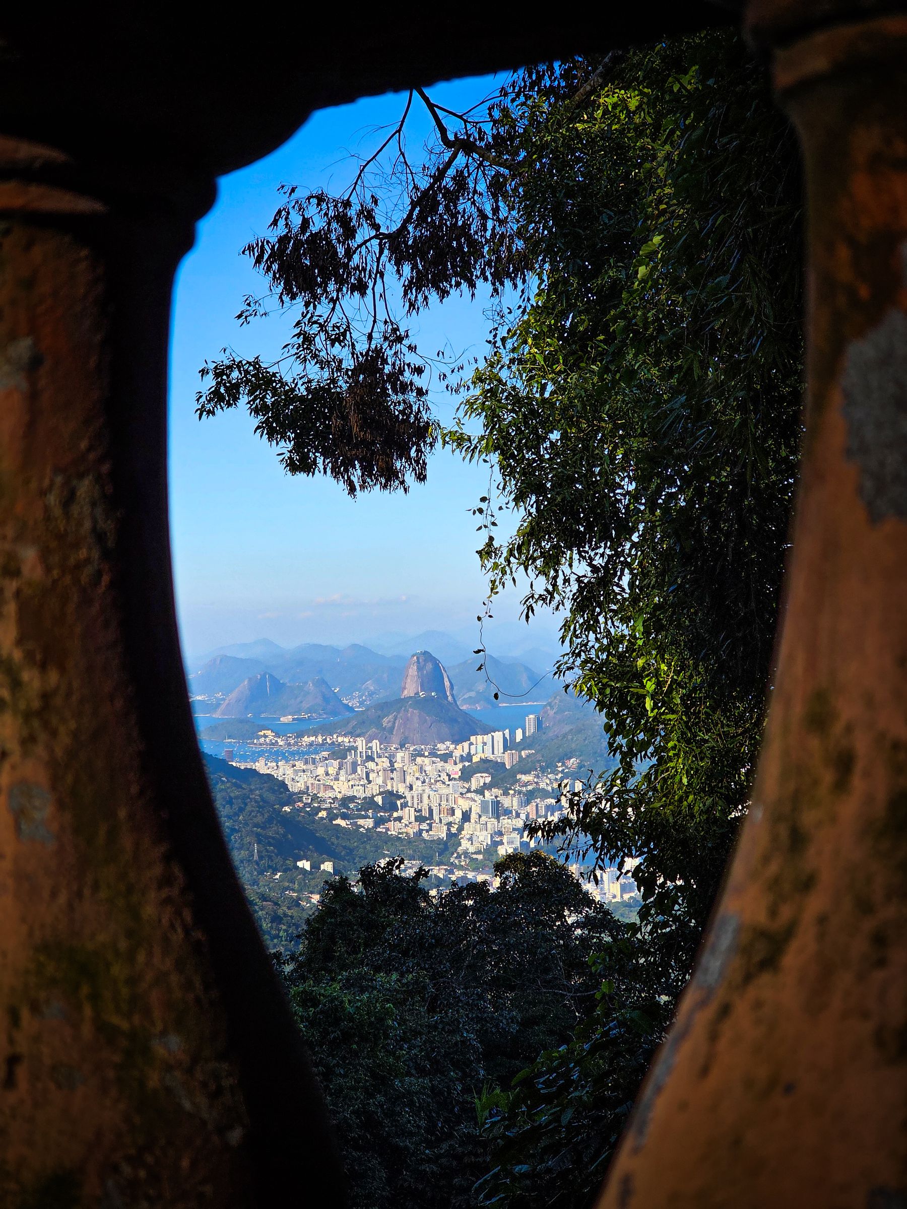 Vista do Rio de Janeiro e do Pão de Açúcar entre árvores. Fotografia de Stefano Silva.